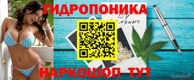 синтетический гашиш Камышлов