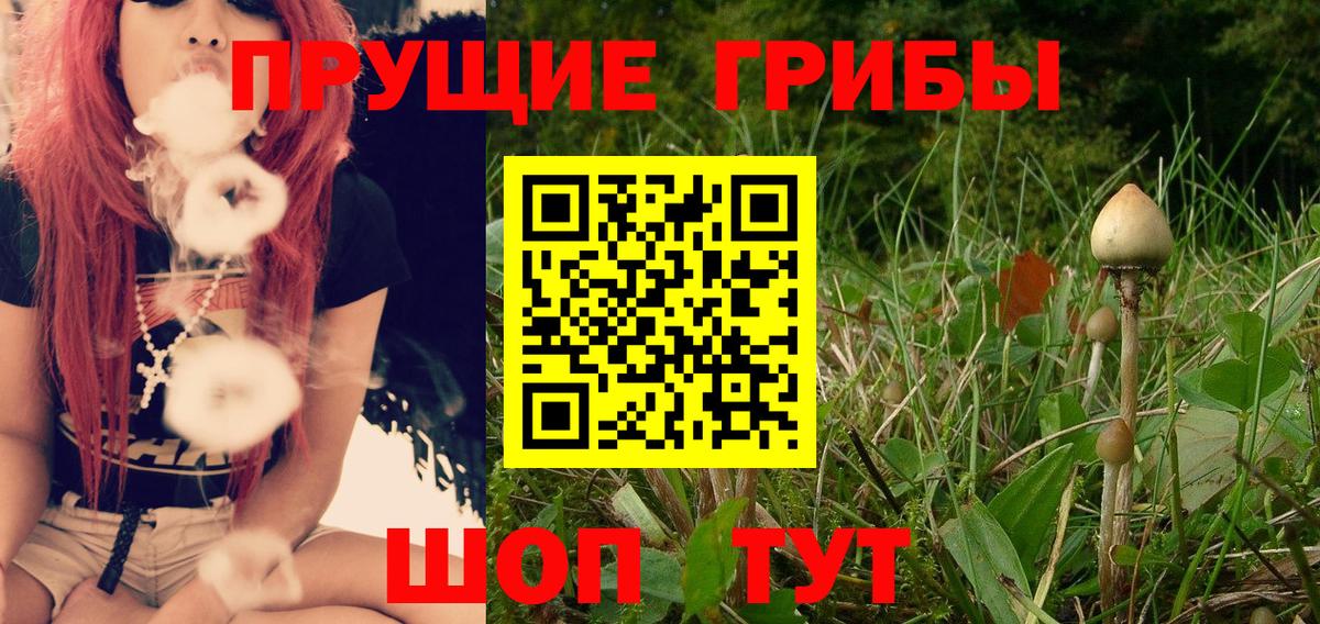 Галлюциногенные грибы мухоморы Кашира