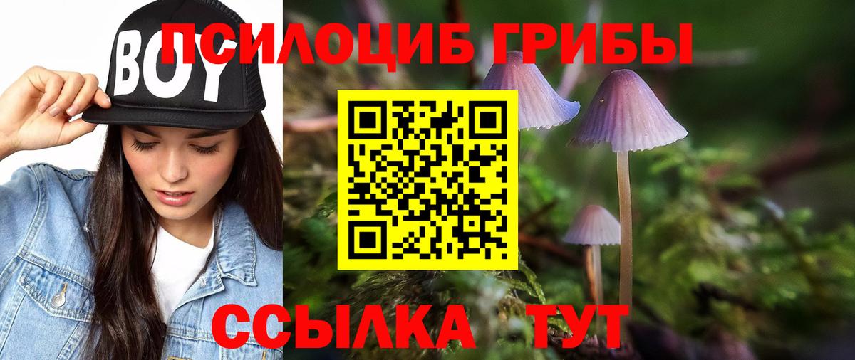 Псилоцибиновые грибы Magic Shrooms  где продают   Кашира  Вход с VPN 