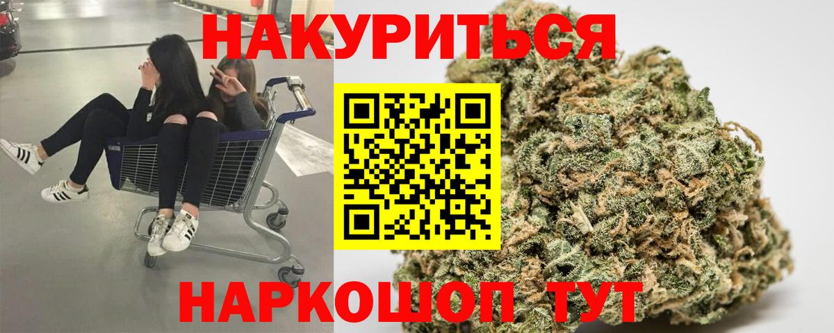 Канабис планчик  Вход с VPN  Бошки марихуана White Widow  Кашира 